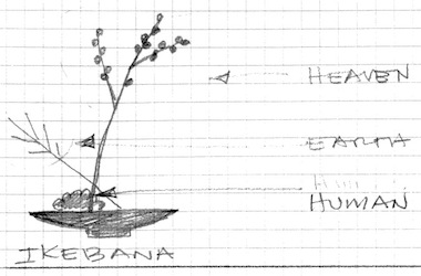 Twitter Ikebana sketch